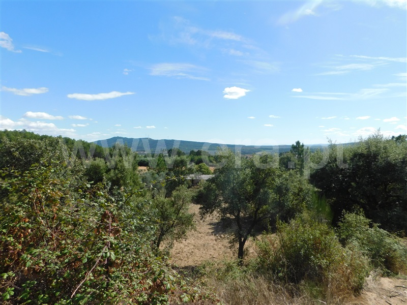 Quinta  Fundão, Quintãs - 1436687 - 9