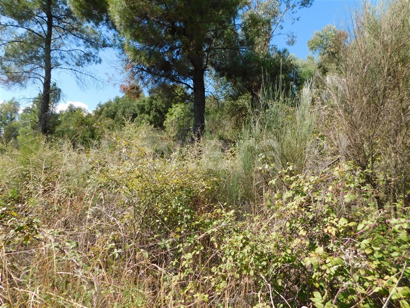 Quinta  Fundão, Quintãs - 1436687 - 11
