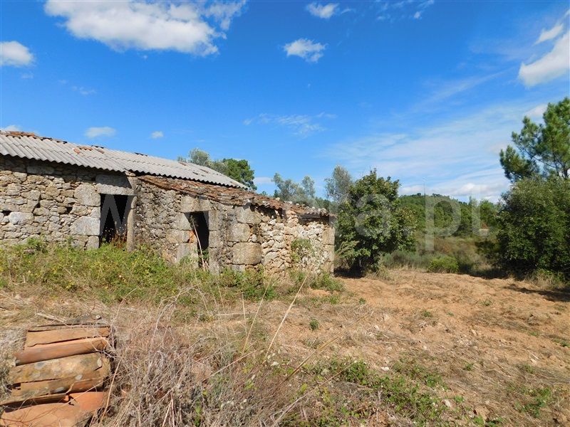 Quinta  Fundão, Quintãs - 1436687 - 15