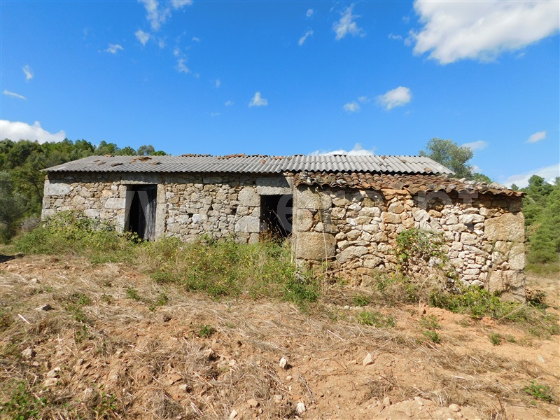 Quinta  Fundão, Quintãs - 1436687 - 16
