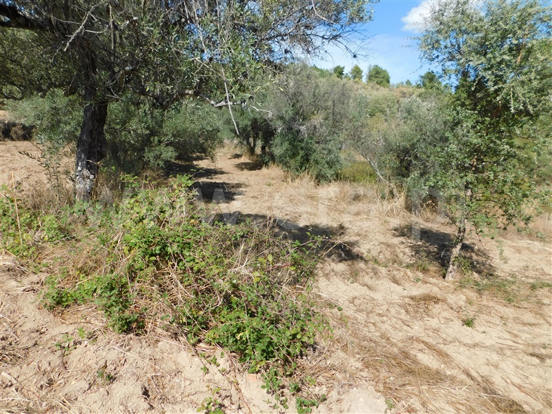 Quinta  Fundão, Quintãs - 1436687 - 17