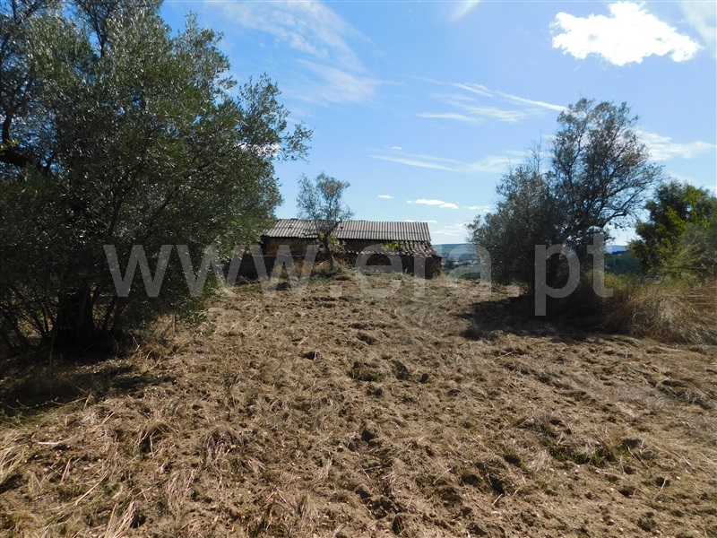 Quinta  Fundão, Quintãs - 1436687 - 21