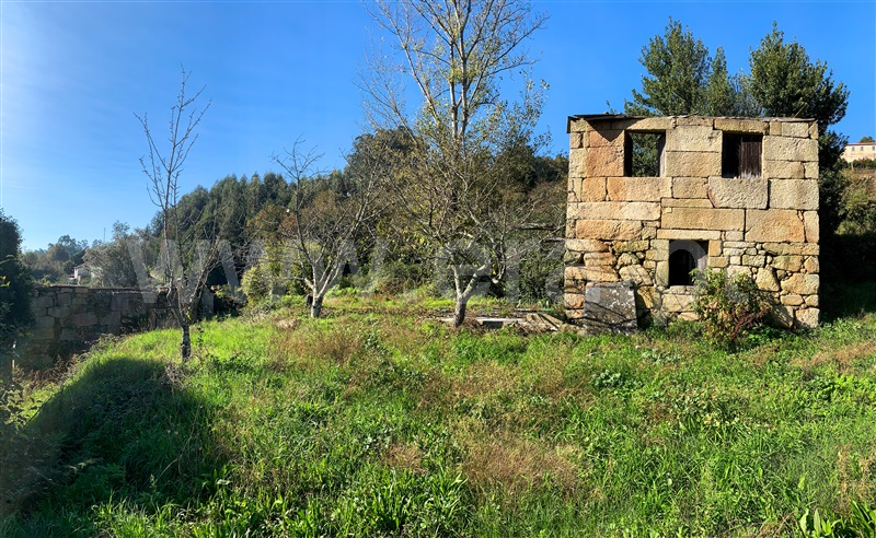 Quinta T0 com Grande Penafiel, Boelhe - 1349217 - 19