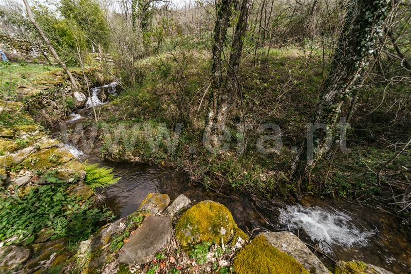 Quinta  Sabugal, Santo Estêvão e Moita - 1470113 - 5