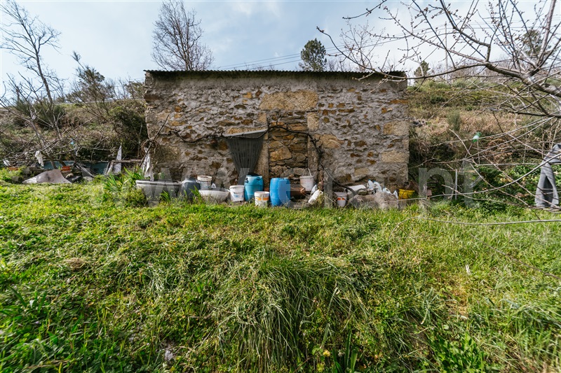 Quinta  Sabugal, Santo Estêvão e Moita - 1470113 - 17