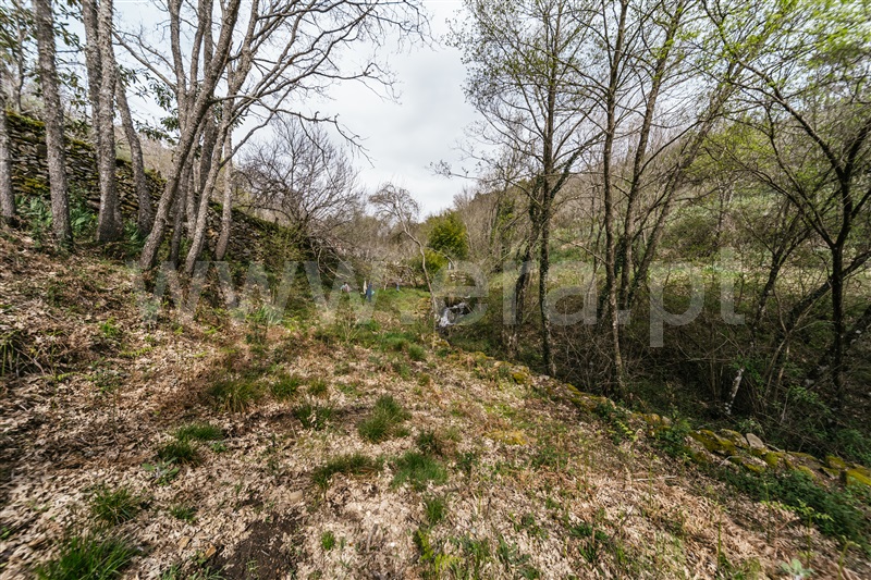 Quinta  Sabugal, Santo Estêvão e Moita - 1470113 - 21