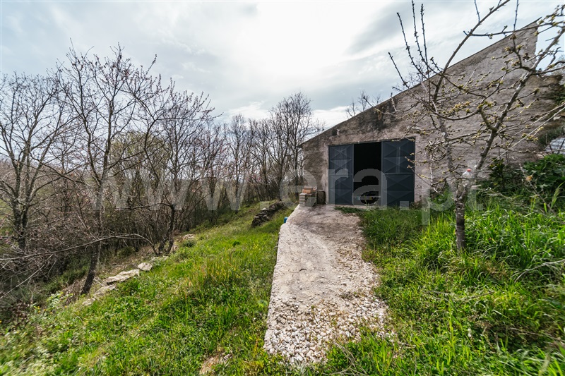 Quinta  Sabugal, Santo Estêvão e Moita - 1470113 - 32