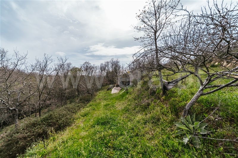 Quinta  Sabugal, Santo Estêvão e Moita - 1470113 - 34