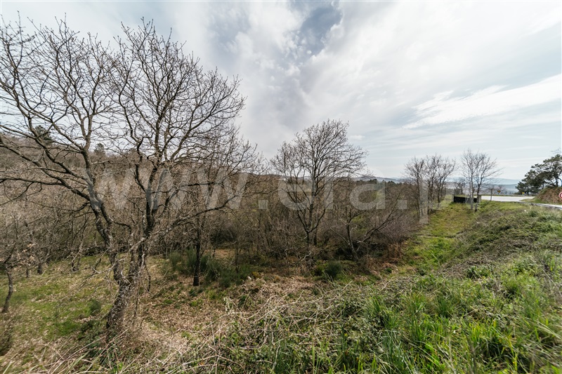 Quinta  Sabugal, Santo Estêvão e Moita - 1470113 - 41