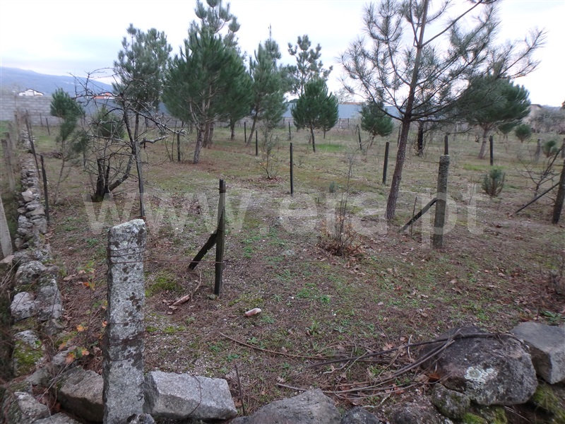 Quinta  Seia, Santa Marinha - 1222260 - 1