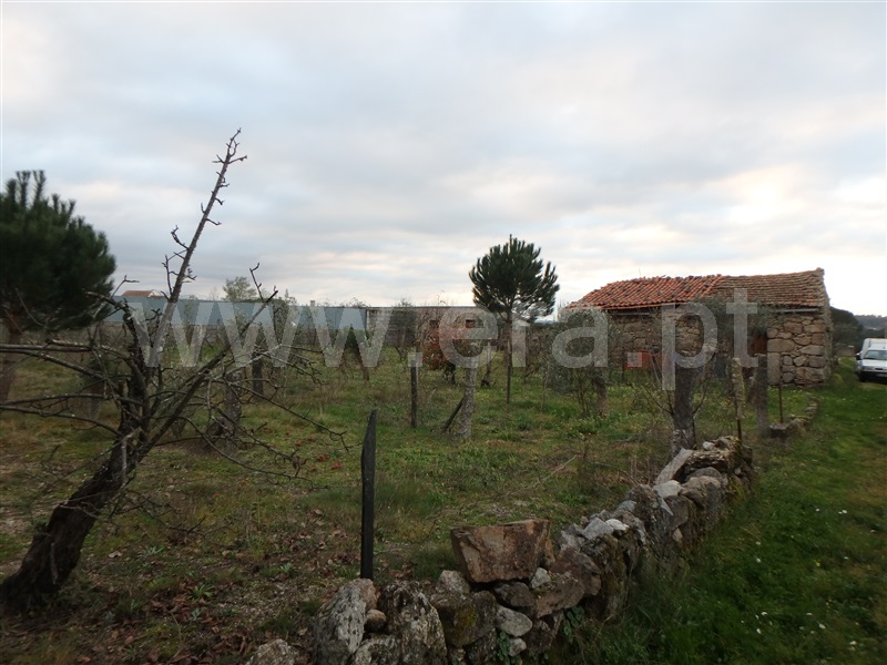 Quinta  Seia, Santa Marinha - 1222260 - 4