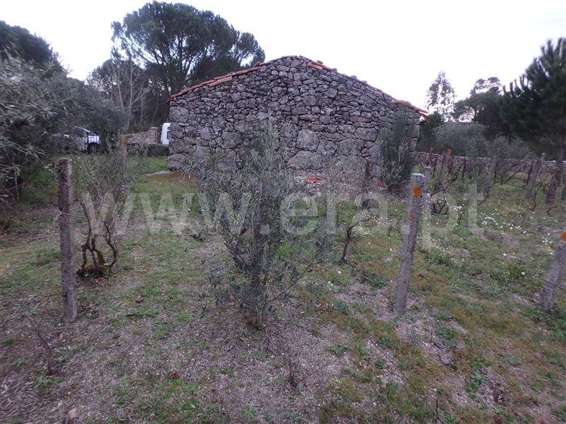 Quinta  Seia, Santa Marinha - 1222260 - 6
