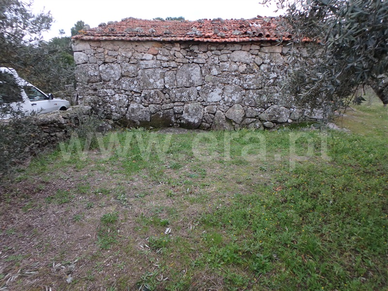 Quinta  Seia, Santa Marinha - 1222260 - 7