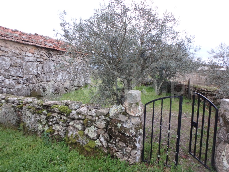Quinta  Seia, Santa Marinha - 1222260 - 9