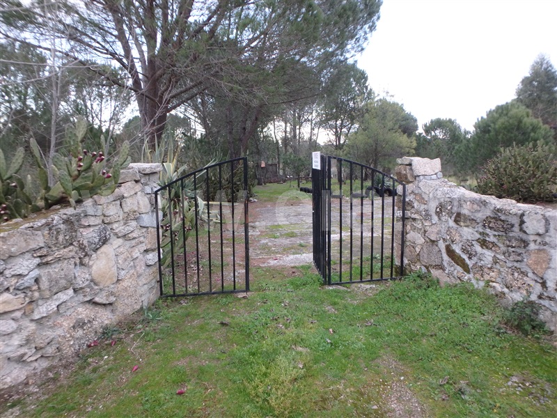 Quinta  Seia, Santa Marinha - 1222260 - 13