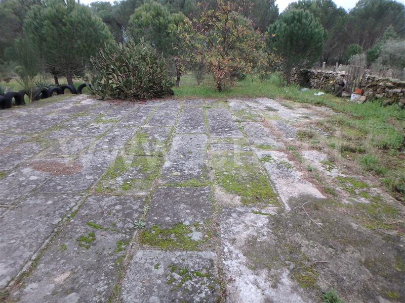 Quinta  Seia, Santa Marinha - 1222260 - 16