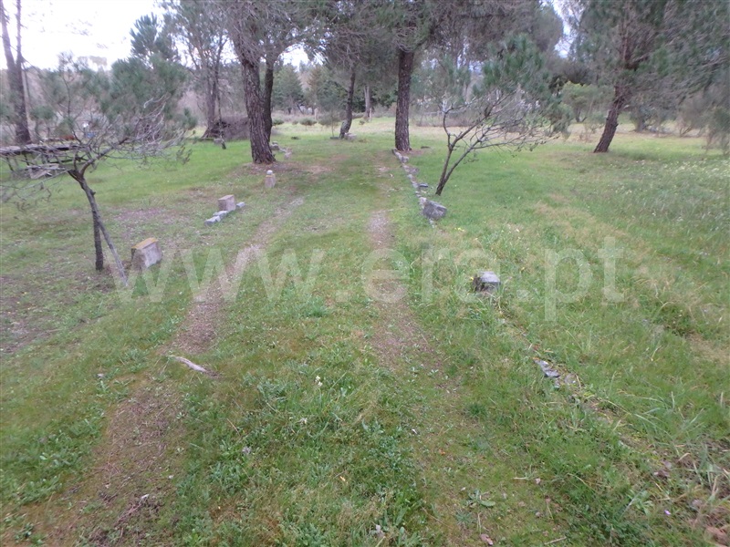 Quinta  Seia, Santa Marinha - 1222260 - 18