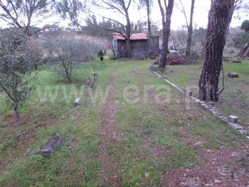 Quinta  Seia, Santa Marinha - 1222260 - 19