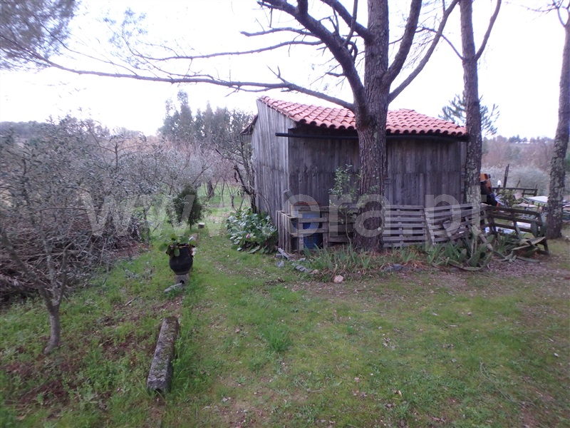 Quinta  Seia, Santa Marinha - 1222260 - 20