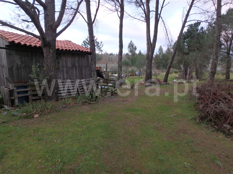 Quinta  Seia, Santa Marinha - 1222260 - 21