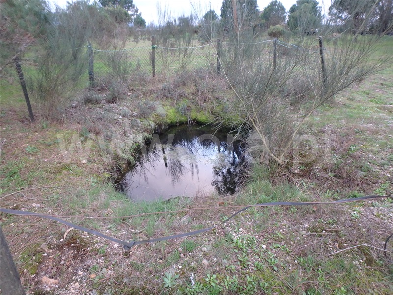 Quinta  Seia, Santa Marinha - 1222260 - 22