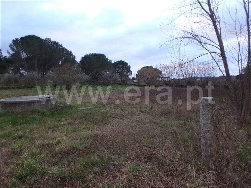 Quinta  Seia, Santa Marinha - 1222260 - 29