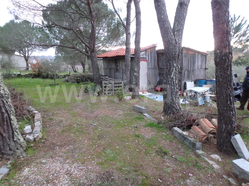Quinta  Seia, Santa Marinha - 1222260 - 33