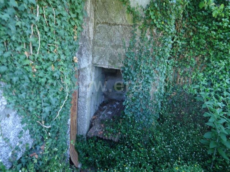 Quinta  Fafe, Cepães e Fareja - 729328 - 12