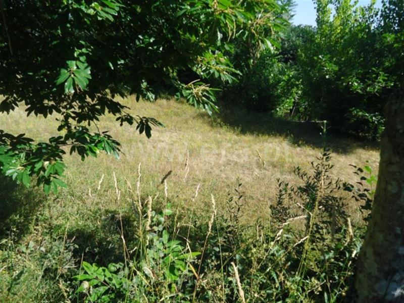 Quinta  Fafe, Cepães e Fareja - 729328 - 13