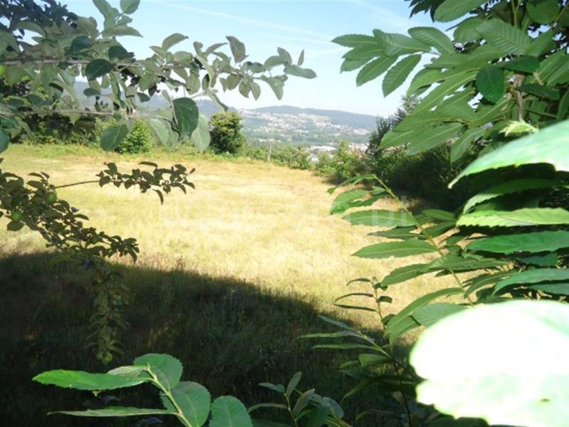 Quinta  Fafe, Cepães e Fareja - 729328 - 14
