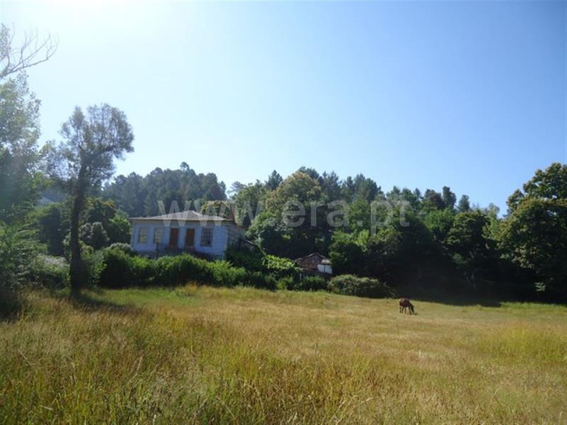 Quinta  Fafe, Cepães e Fareja - 729328 - 15