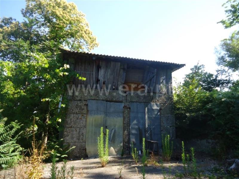 Quinta  Fafe, Cepães e Fareja - 729328 - 19