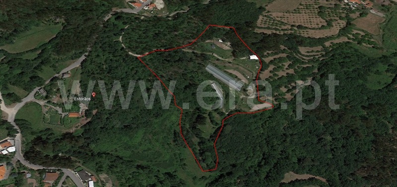 Quinta / Fafe, Estorãos