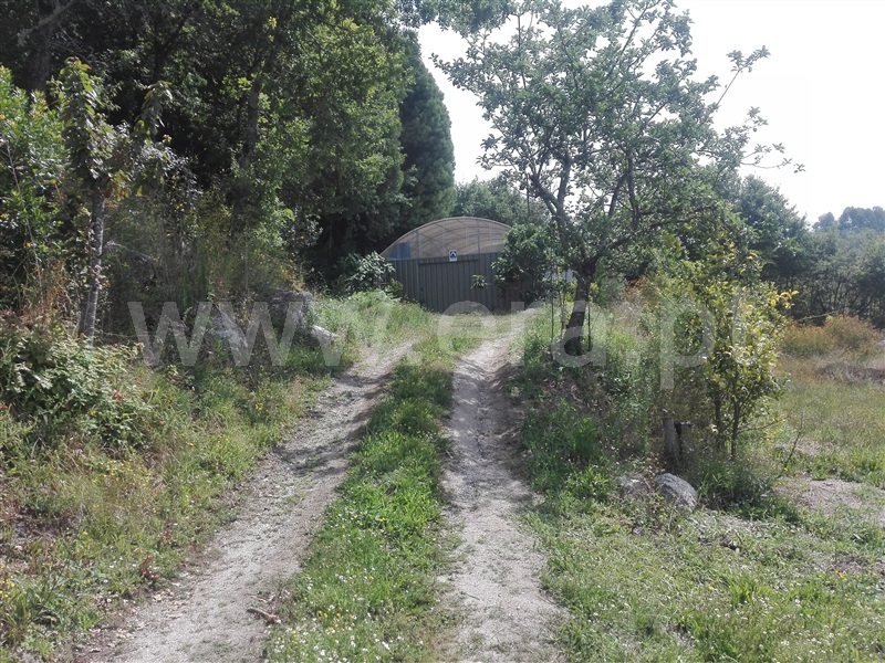 Quinta  Fafe, Estorãos - 1024149 - 7
