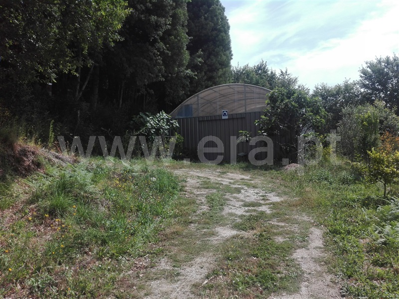 Quinta  Fafe, Estorãos - 1024149 - 15