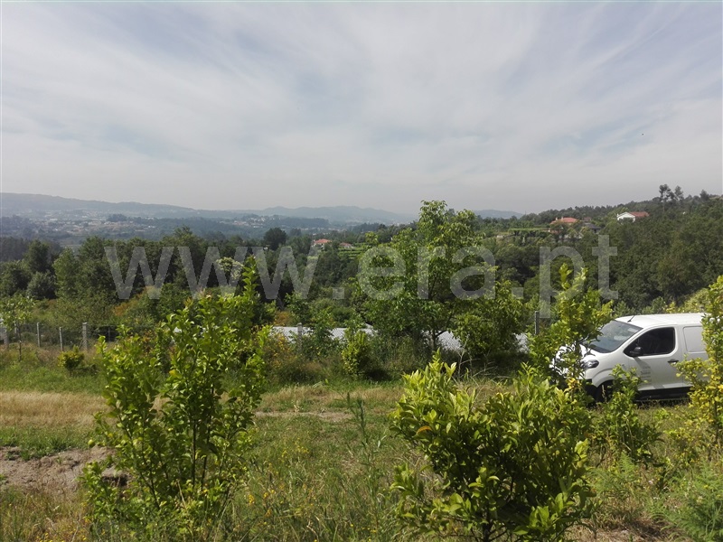 Quinta  Fafe, Estorãos - 1024149 - 20