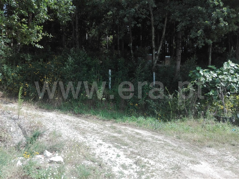 Quinta  Fafe, Estorãos - 1024149 - 25