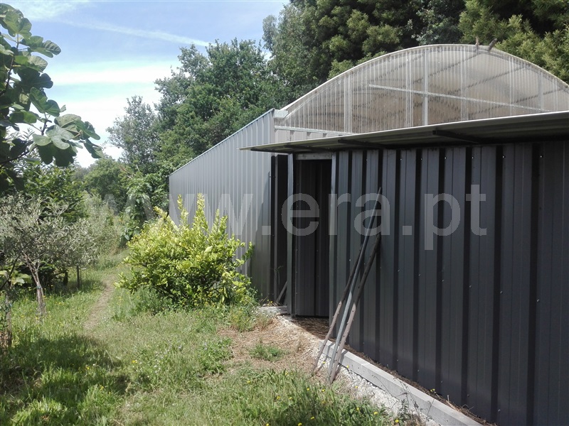 Quinta  Fafe, Estorãos - 1024149 - 30