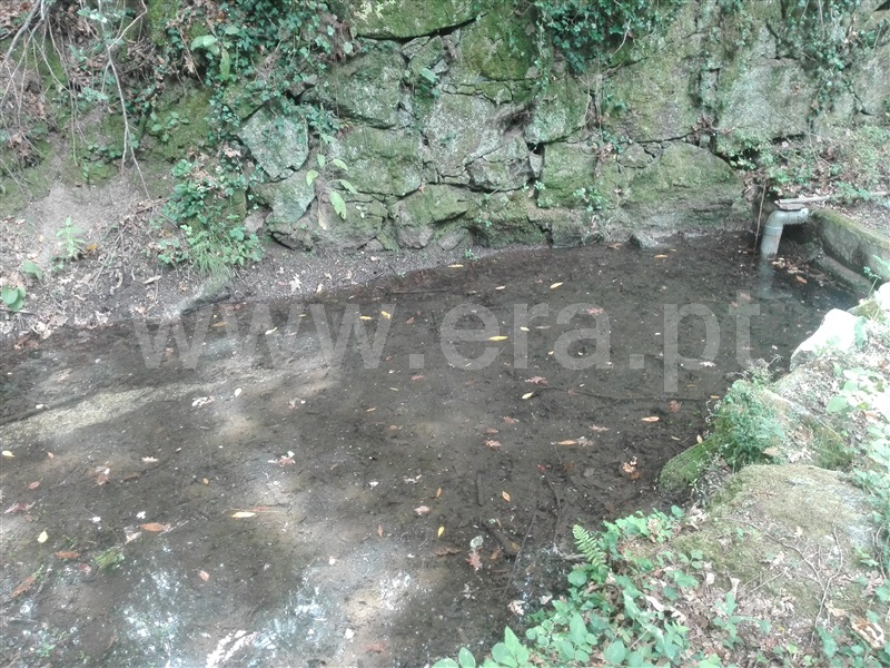 Quinta  Fafe, Fafe - 1225551 - 25