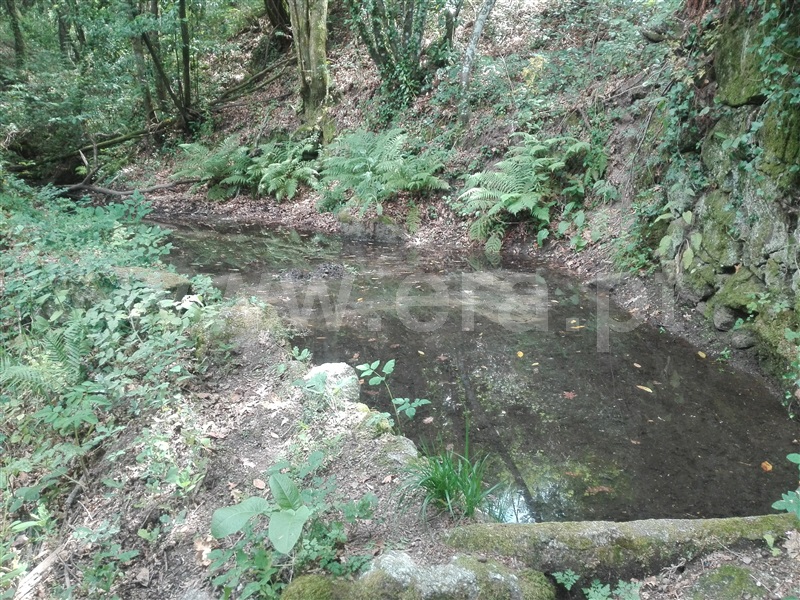 Quinta  Fafe, Fafe - 1225551 - 26