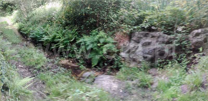 Quinta  Fafe, Fafe - 1225551 - 30