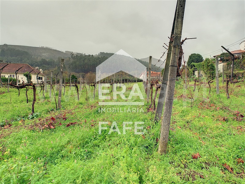 Quinta  Fafe, Freitas e Vila Cova - 1283063 - 1