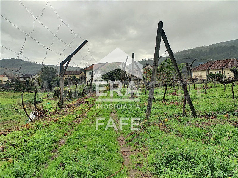 Quinta  Fafe, Freitas e Vila Cova - 1283063 - 2
