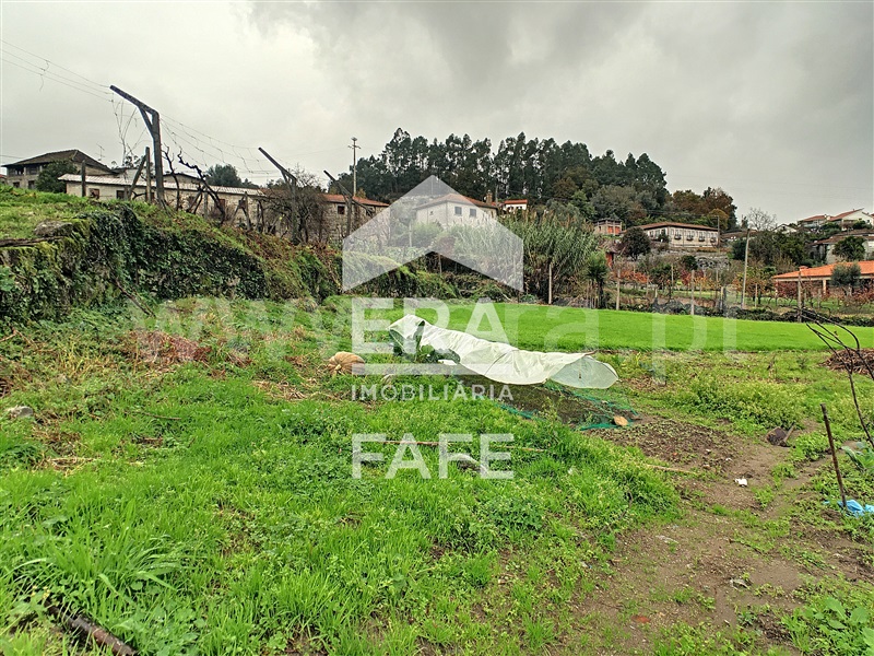 Quinta  Fafe, Freitas e Vila Cova - 1283063 - 3