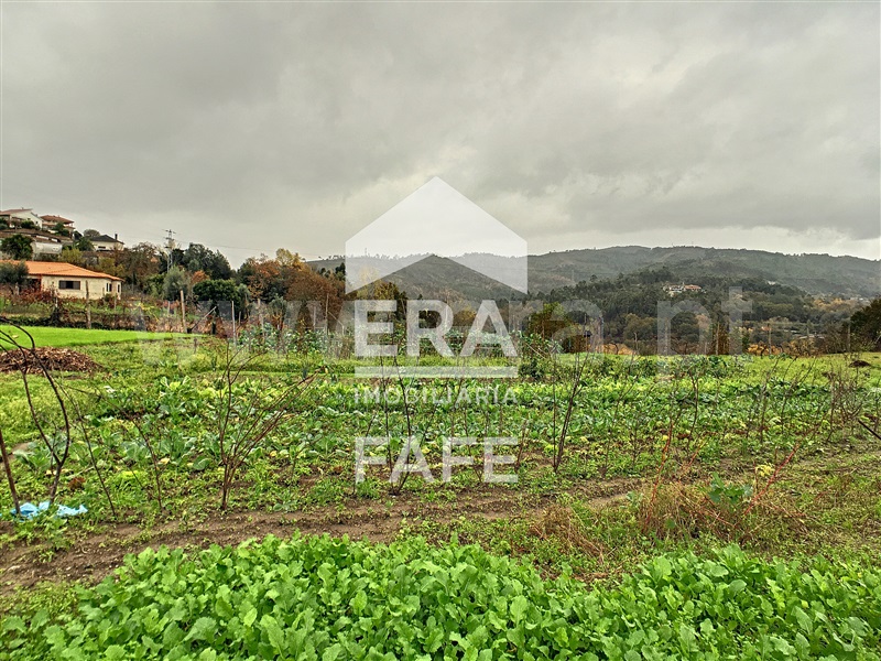 Quinta  Fafe, Freitas e Vila Cova - 1283063 - 4