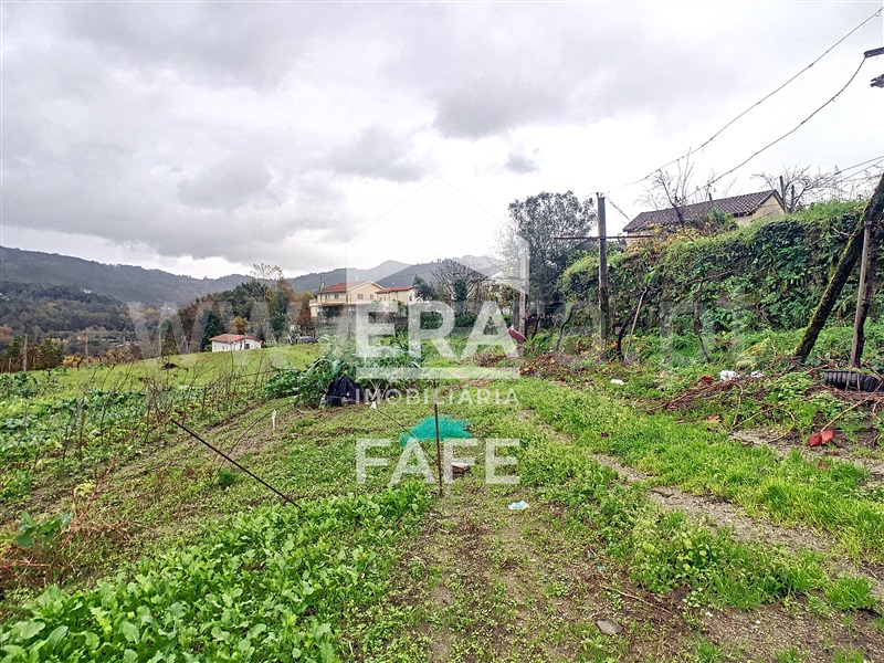 Quinta  Fafe, Freitas e Vila Cova - 1283063 - 5