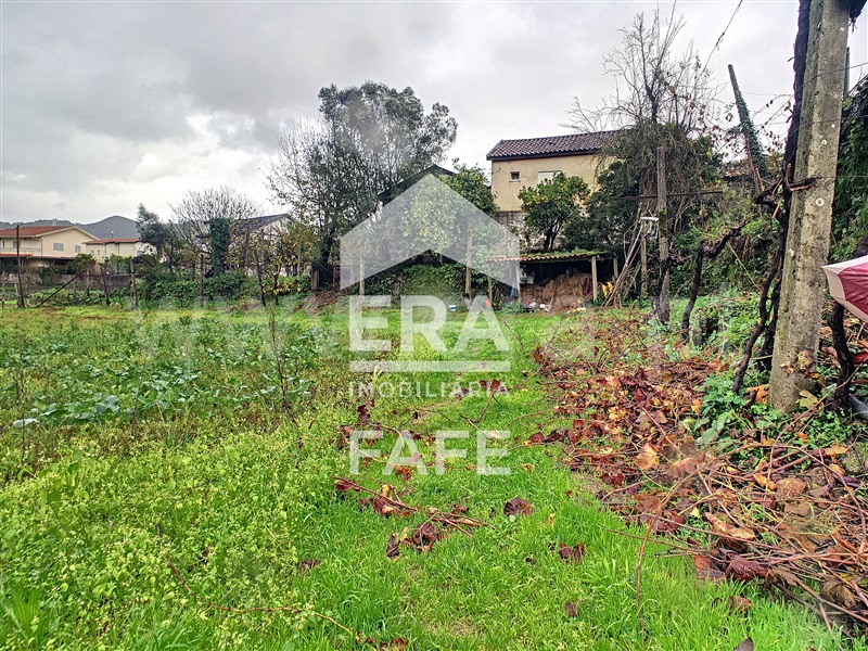 Quinta  Fafe, Freitas e Vila Cova - 1283063 - 6