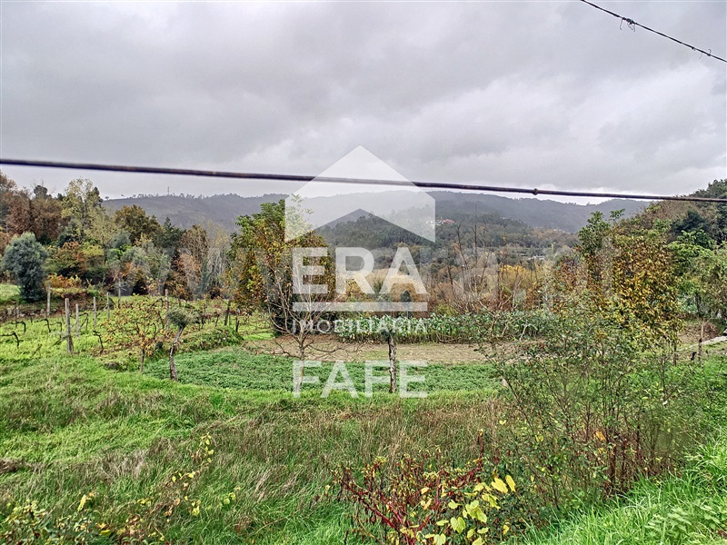 Quinta  Fafe, Freitas e Vila Cova - 1283063 - 7
