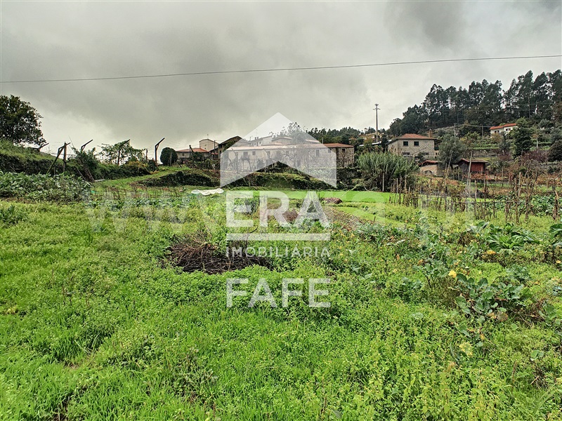 Quinta  Fafe, Freitas e Vila Cova - 1283063 - 8