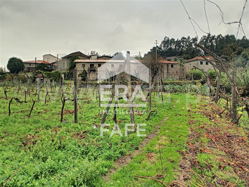 Quinta  Fafe, Freitas e Vila Cova - 1283063 - 9
